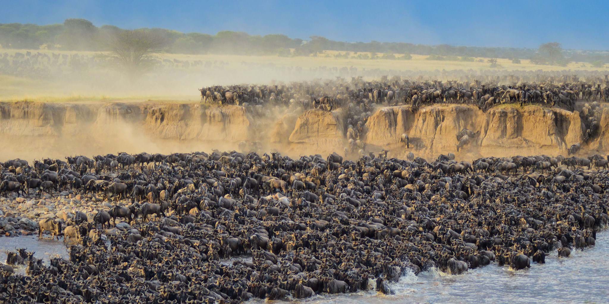 8 Days Mara River Great Migration Safari